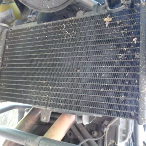 Chłodnica przed myciem